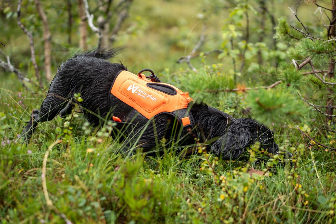 Protector neoprene vest (Non - Stop Dogwear) - SnowPaw Store - Non - Stop Dogwear - Dog Coats